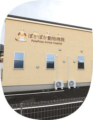 診療日のご案内